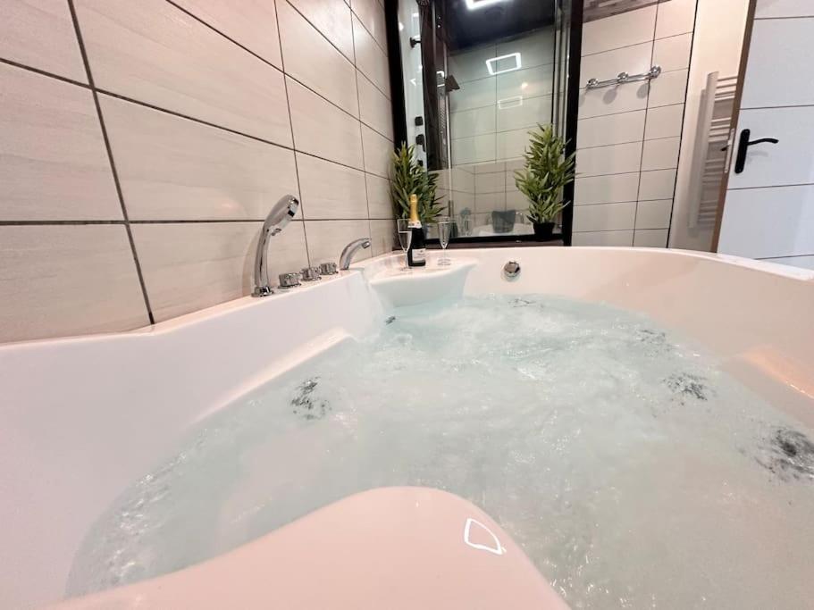 E Servagnat T3 Luxe Avec Sauna Jacuzzi Et Hammam Épernay Extérieur photo